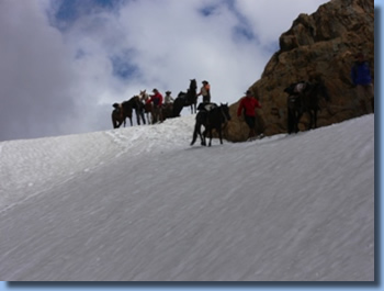 Passhöhe auf der Reittour im Nationalpark Villarrica